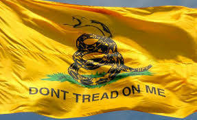 3' x 5' Gadsden Polyester - ColorFastFlags | All the flags you'll ever need!