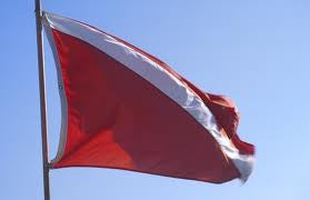 Skin Diver Flags - ColorFastFlags | All the flags you'll ever need!